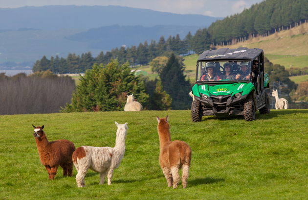 뉴질랜드 남/북섬 8일 #보잉787드림라이너 #선착순특가