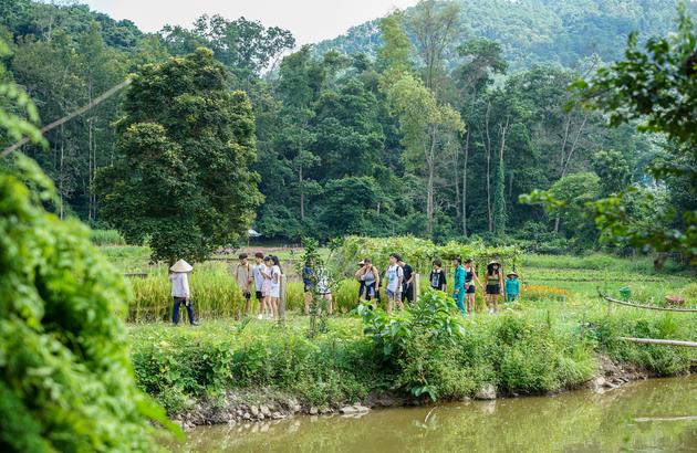 하노이/하롱베이4/5/6일#ESG여행#농장체험#전신마사지1시간#하롱베이선상유람#루프탑바