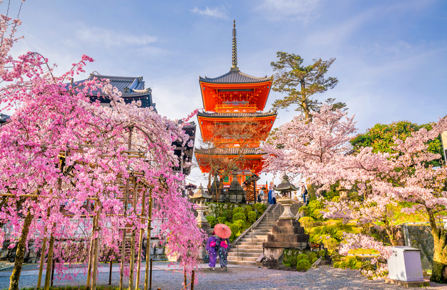 [USJ부터 자유일정까지]오사카4일#골라가는패키지/오사카,교토,고베,아라시야마
