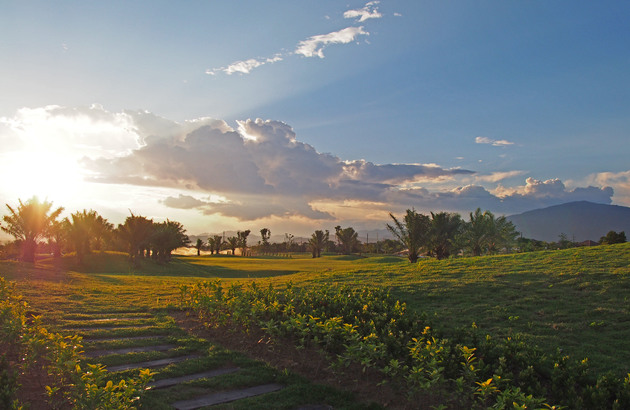 [치앙마이 5일] #다색실속골프 #쇼핑2회 #이스타수하물