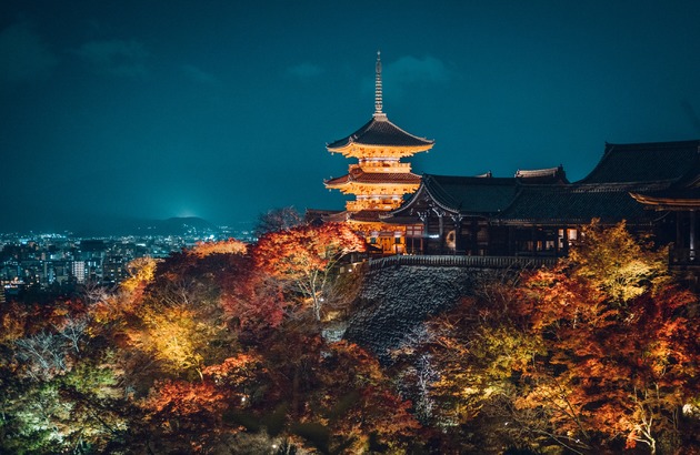 [옐로LIVE] 오사카자유여행3일 #오전출발-저녁도착 #시내호텔2연박 #여행자보험